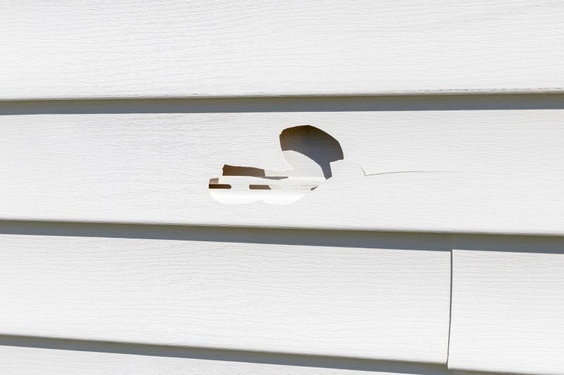 Repairing Damaged Siding